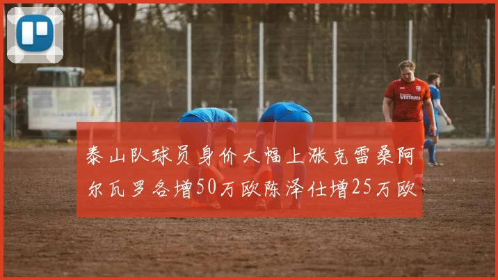 泰山队球员身价大幅上涨克雷桑阿尔瓦罗各增50万欧陈泽仕增25万欧